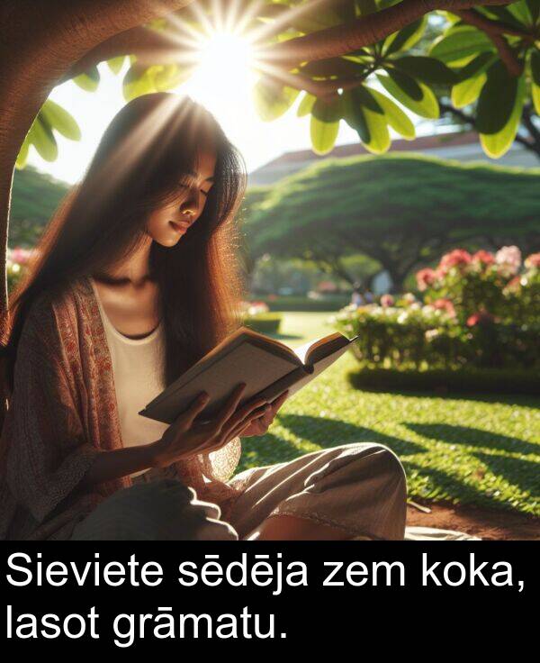 koka: Sieviete sēdēja zem koka, lasot grāmatu.