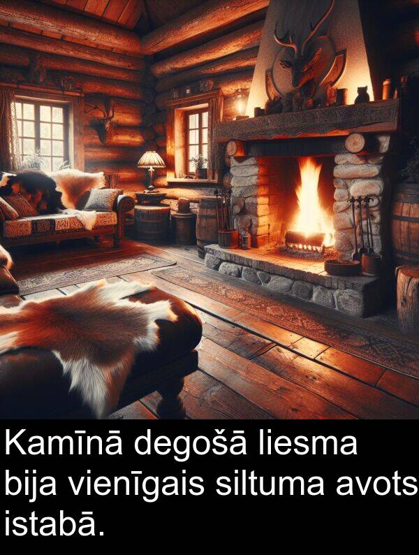 siltuma: Kamīnā degošā liesma bija vienīgais siltuma avots istabā.