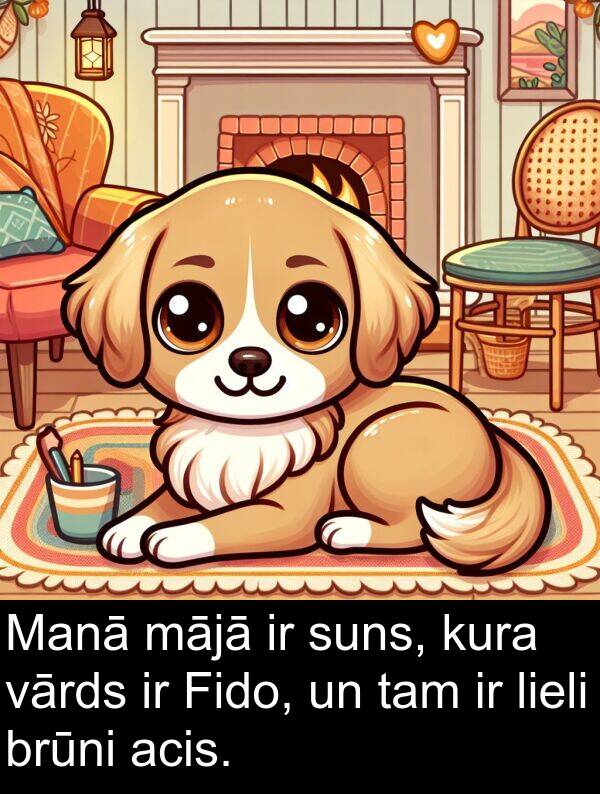 kura: Manā mājā ir suns, kura vārds ir Fido, un tam ir lieli brūni acis.