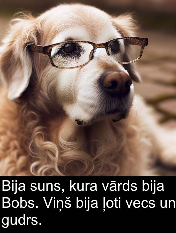 kura: Bija suns, kura vārds bija Bobs. Viņš bija ļoti vecs un gudrs.