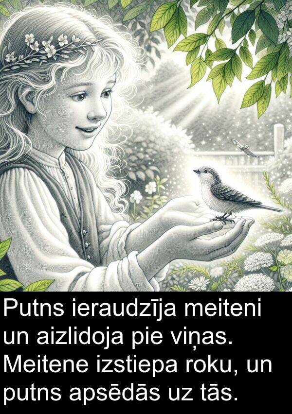 roku: Putns ieraudzīja meiteni un aizlidoja pie viņas. Meitene izstiepa roku, un putns apsēdās uz tās.