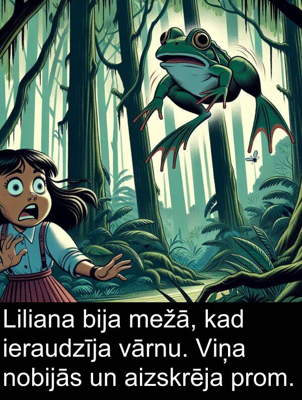 prom: Liliana bija mežā, kad ieraudzīja vārnu. Viņa nobijās un aizskrēja prom.