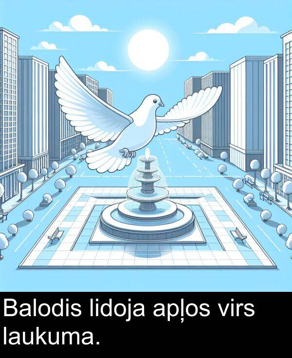 apļos: Balodis lidoja apļos virs laukuma.