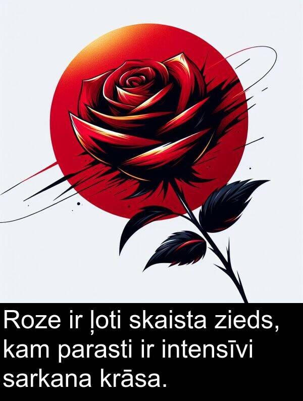 krāsa: Roze ir ļoti skaista zieds, kam parasti ir intensīvi sarkana krāsa.