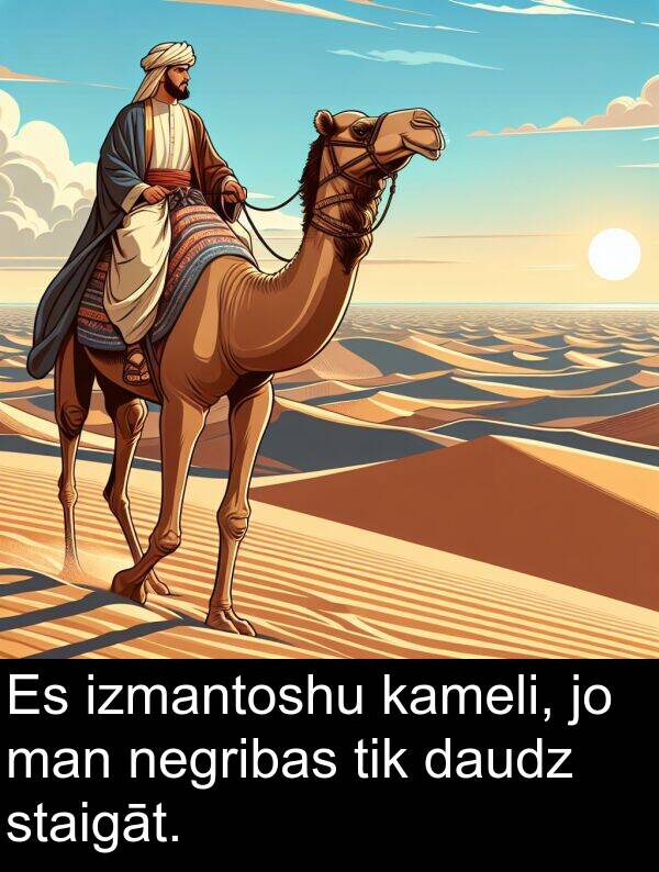 kameli: Es izmantoshu kameli, jo man negribas tik daudz staigāt.