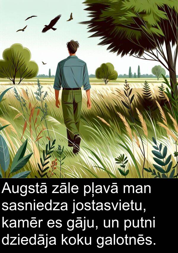 koku: Augstā zāle pļavā man sasniedza jostasvietu, kamēr es gāju, un putni dziedāja koku galotnēs.