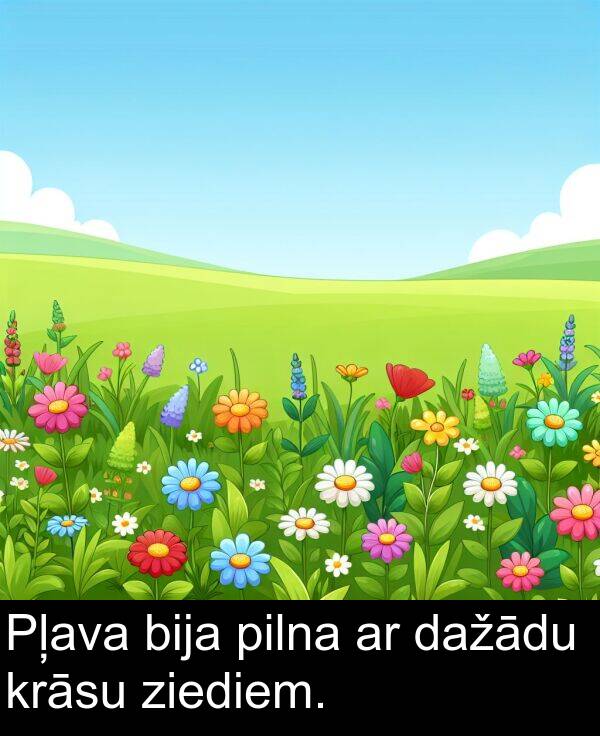 krāsu: Pļava bija pilna ar dažādu krāsu ziediem.