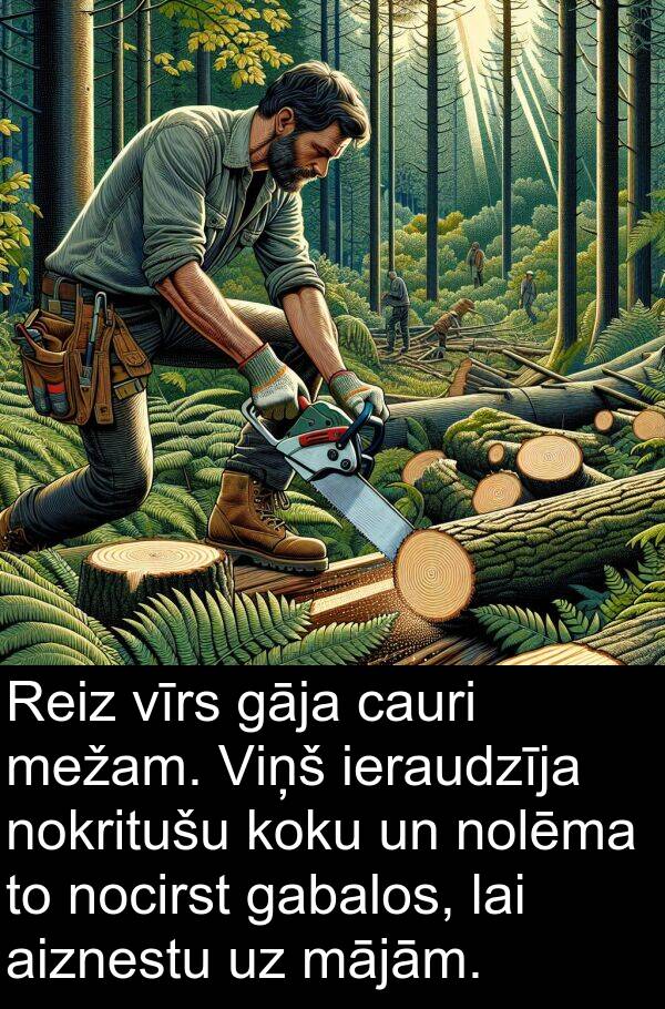 koku: Reiz vīrs gāja cauri mežam. Viņš ieraudzīja nokritušu koku un nolēma to nocirst gabalos, lai aiznestu uz mājām.