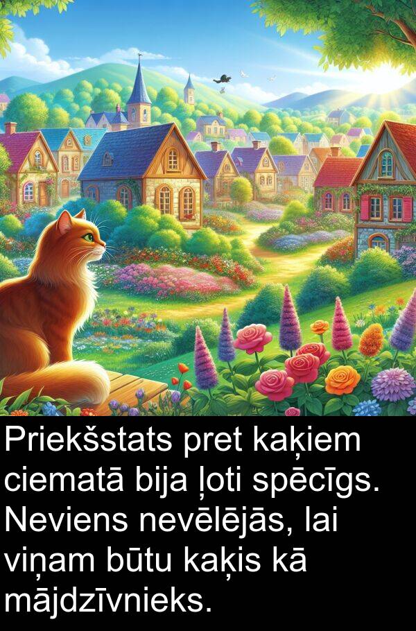 kaķis: Priekšstats pret kaķiem ciematā bija ļoti spēcīgs. Neviens nevēlējās, lai viņam būtu kaķis kā mājdzīvnieks.