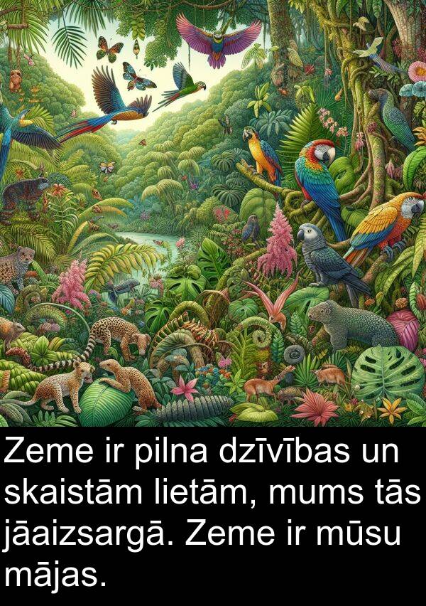 mājas: Zeme ir pilna dzīvības un skaistām lietām, mums tās jāaizsargā. Zeme ir mūsu mājas.