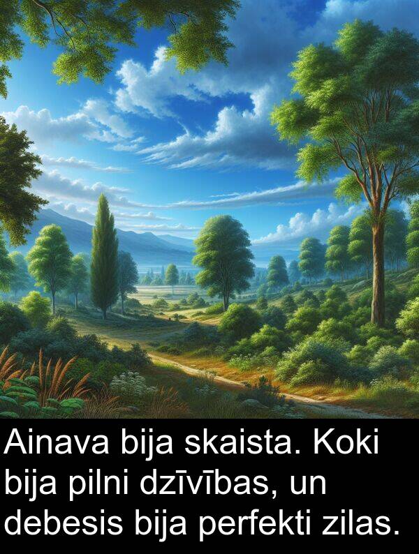 zilas: Ainava bija skaista. Koki bija pilni dzīvības, un debesis bija perfekti zilas.
