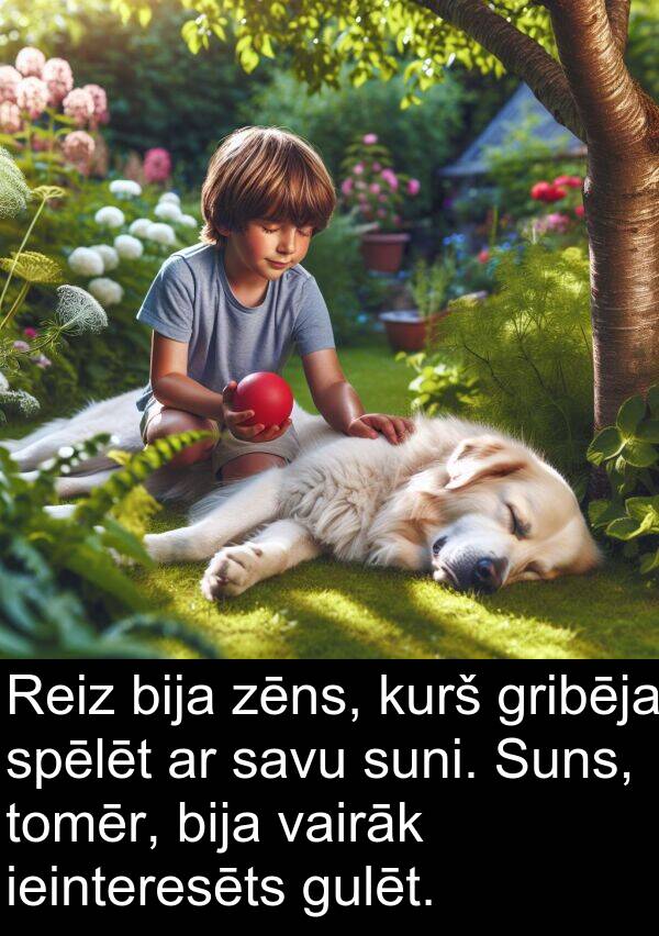 spēlēt: Reiz bija zēns, kurš gribēja spēlēt ar savu suni. Suns, tomēr, bija vairāk ieinteresēts gulēt.
