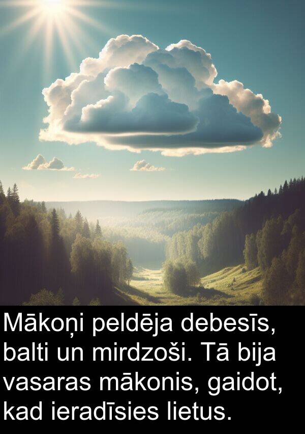 mākonis: Mākoņi peldēja debesīs, balti un mirdzoši. Tā bija vasaras mākonis, gaidot, kad ieradīsies lietus.