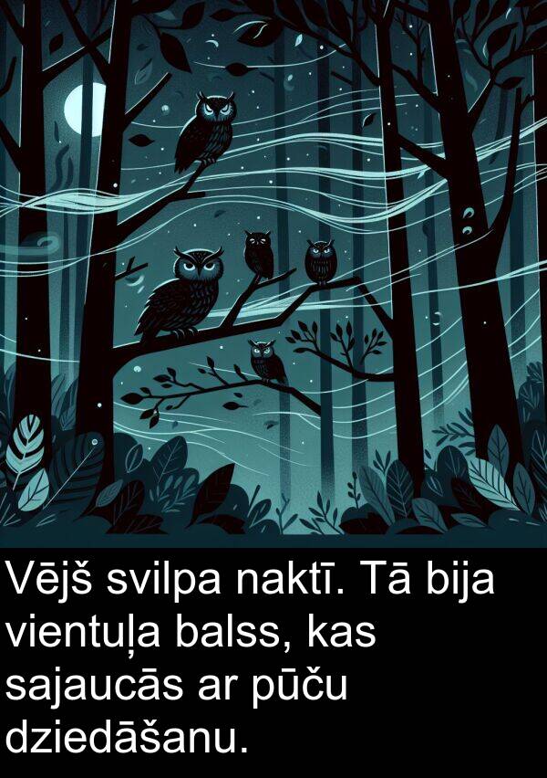 naktī: Vējš svilpa naktī. Tā bija vientuļa balss, kas sajaucās ar pūču dziedāšanu.