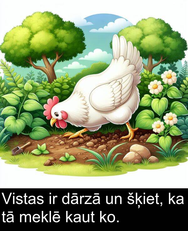ko: Vistas ir dārzā un šķiet, ka tā meklē kaut ko.