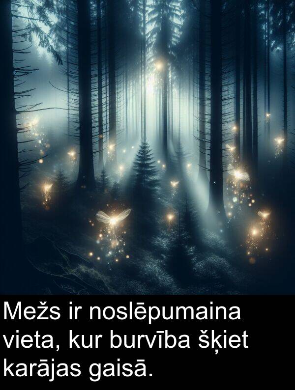 kur: Mežs ir noslēpumaina vieta, kur burvība šķiet karājas gaisā.