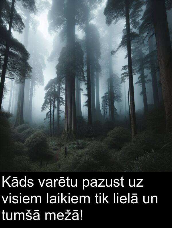 laikiem: Kāds varētu pazust uz visiem laikiem tik lielā un tumšā mežā!