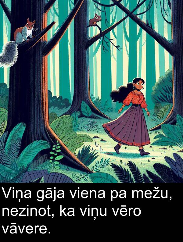 mežu: Viņa gāja viena pa mežu, nezinot, ka viņu vēro vāvere.