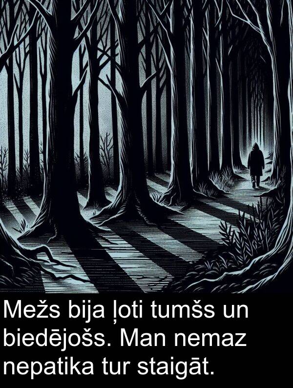 nepatika: Mežs bija ļoti tumšs un biedējošs. Man nemaz nepatika tur staigāt.