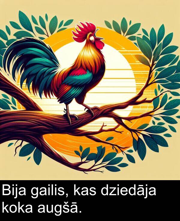 koka: Bija gailis, kas dziedāja koka augšā.