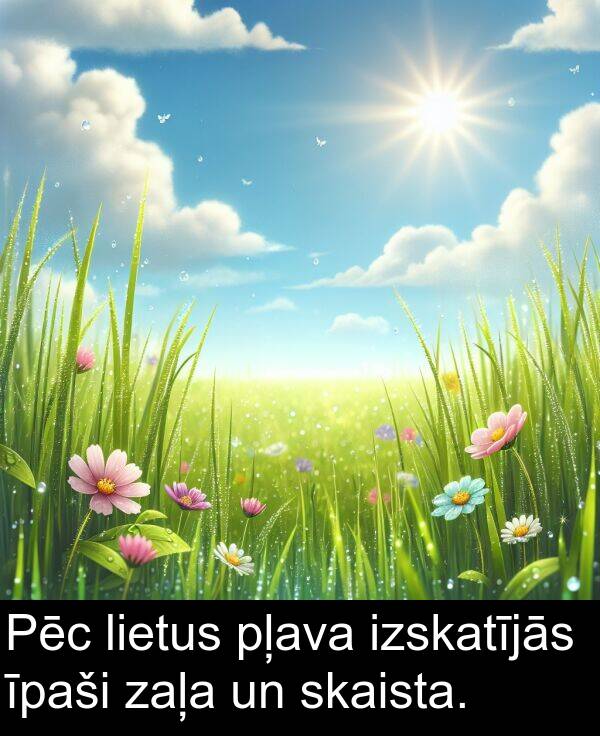 zaļa: Pēc lietus pļava izskatījās īpaši zaļa un skaista.