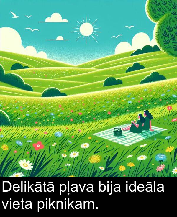 ideāla: Delikātā pļava bija ideāla vieta piknikam.