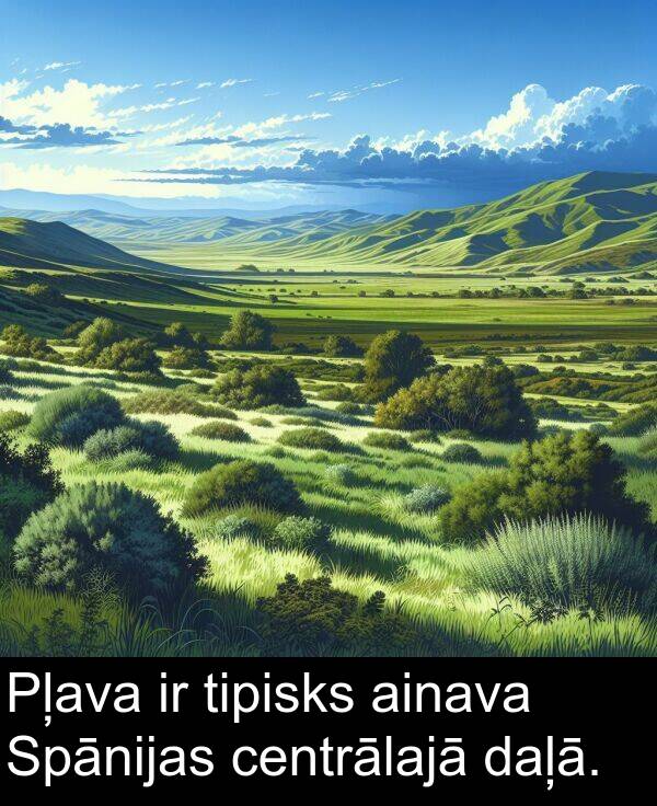 ainava: Pļava ir tipisks ainava Spānijas centrālajā daļā.