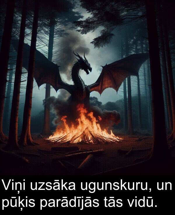 ugunskuru: Viņi uzsāka ugunskuru, un pūķis parādījās tās vidū.