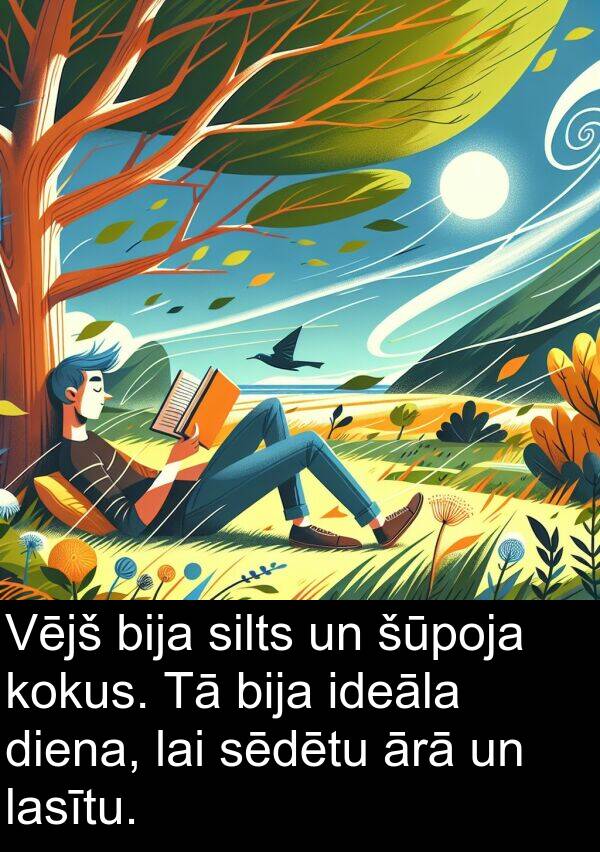 kokus: Vējš bija silts un šūpoja kokus. Tā bija ideāla diena, lai sēdētu ārā un lasītu.