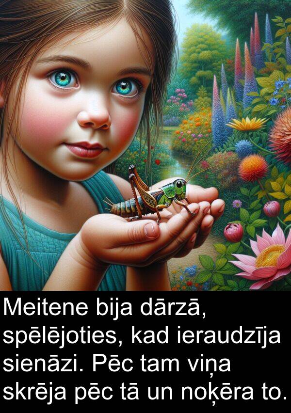 noķēra: Meitene bija dārzā, spēlējoties, kad ieraudzīja sienāzi. Pēc tam viņa skrēja pēc tā un noķēra to.