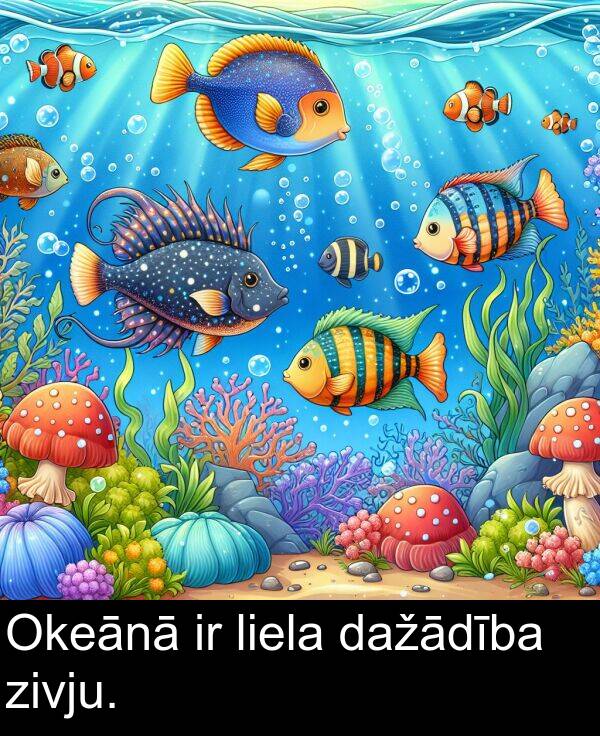 liela: Okeānā ir liela dažādība zivju.