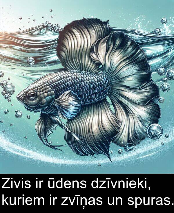 kuriem: Zivis ir ūdens dzīvnieki, kuriem ir zvīņas un spuras.