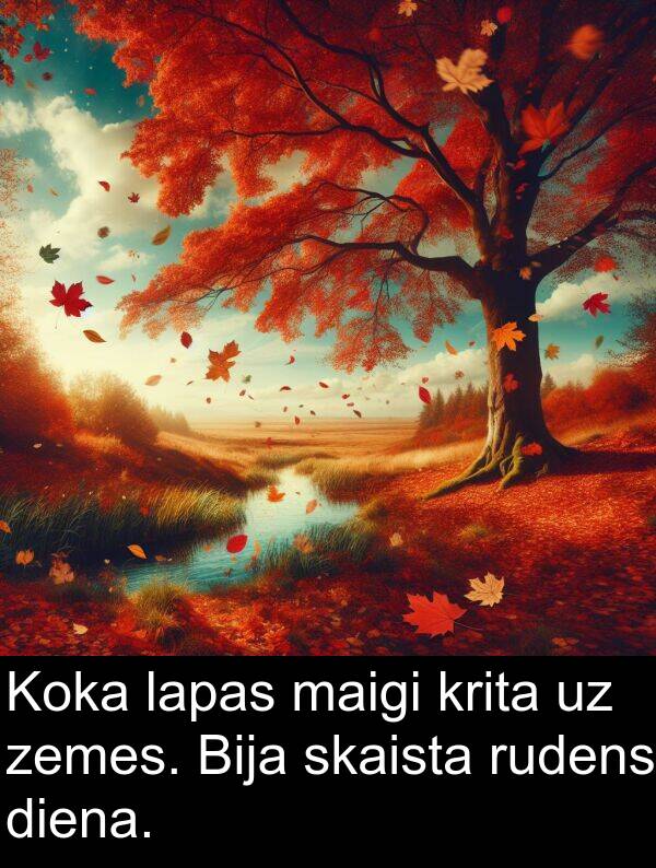 krita: Koka lapas maigi krita uz zemes. Bija skaista rudens diena.