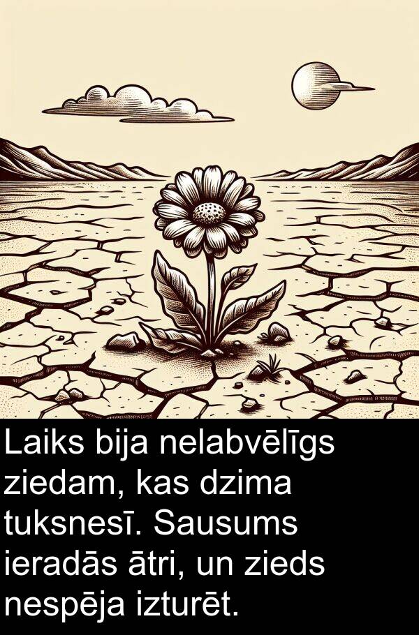 zieds: Laiks bija nelabvēlīgs ziedam, kas dzima tuksnesī. Sausums ieradās ātri, un zieds nespēja izturēt.
