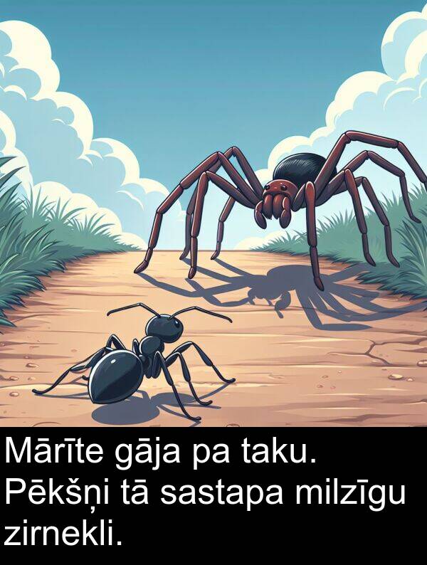 sastapa: Mārīte gāja pa taku. Pēkšņi tā sastapa milzīgu zirnekli.