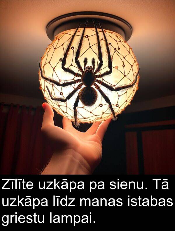 lampai: Zīlīte uzkāpa pa sienu. Tā uzkāpa līdz manas istabas griestu lampai.