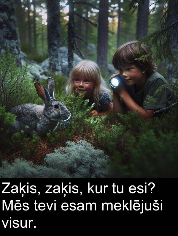 kur: Zaķis, zaķis, kur tu esi? Mēs tevi esam meklējuši visur.