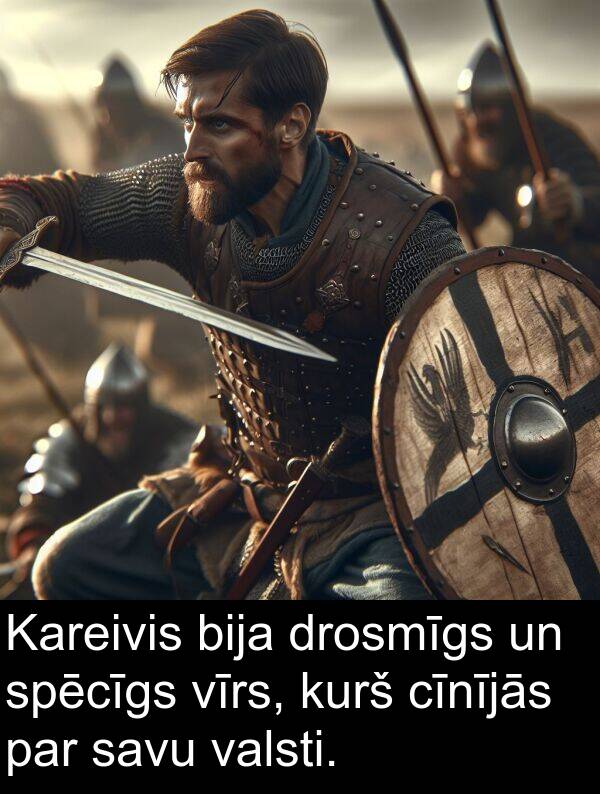 kurš: Kareivis bija drosmīgs un spēcīgs vīrs, kurš cīnījās par savu valsti.