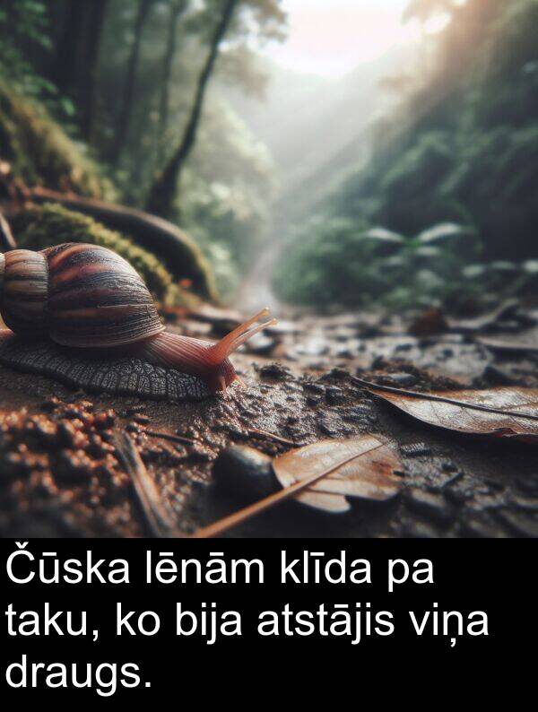 atstājis: Čūska lēnām klīda pa taku, ko bija atstājis viņa draugs.
