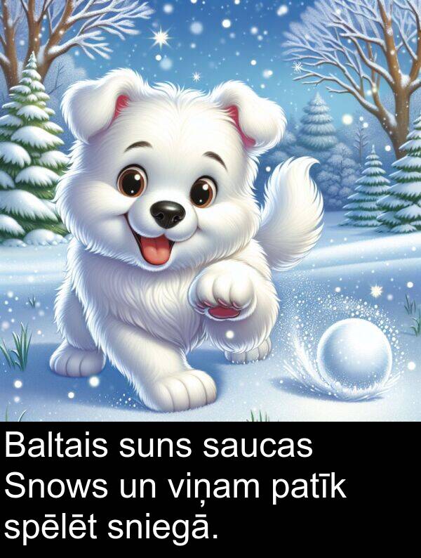 spēlēt: Baltais suns saucas Snows un viņam patīk spēlēt sniegā.