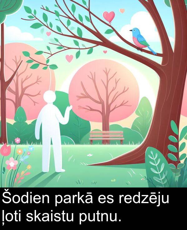skaistu: Šodien parkā es redzēju ļoti skaistu putnu.
