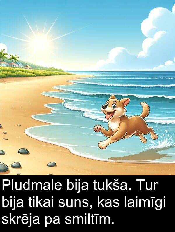 suns: Pludmale bija tukša. Tur bija tikai suns, kas laimīgi skrēja pa smiltīm.
