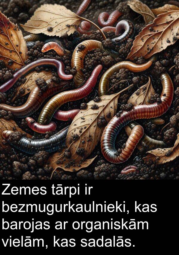 organiskām: Zemes tārpi ir bezmugurkaulnieki, kas barojas ar organiskām vielām, kas sadalās.