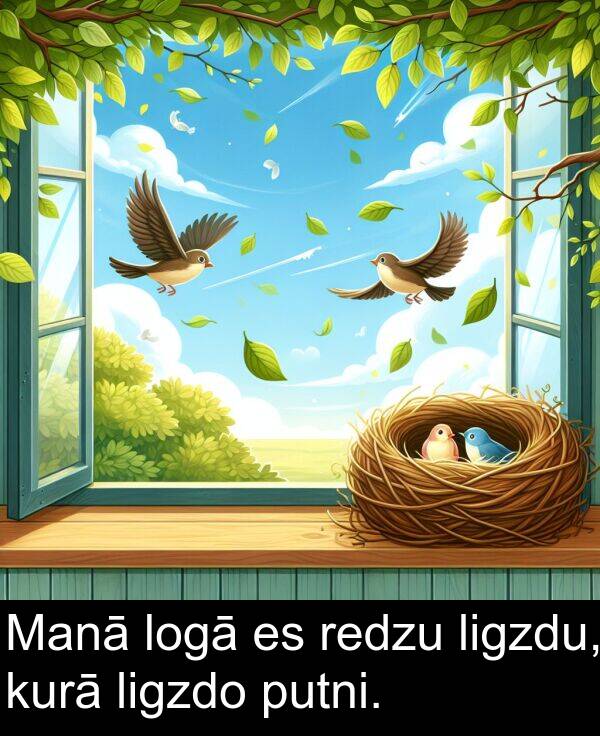 kurā: Manā logā es redzu ligzdu, kurā ligzdo putni.