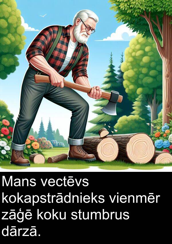 koku: Mans vectēvs kokapstrādnieks vienmēr zāģē koku stumbrus dārzā.