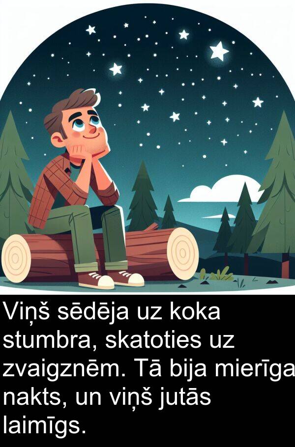 koka: Viņš sēdēja uz koka stumbra, skatoties uz zvaigznēm. Tā bija mierīga nakts, un viņš jutās laimīgs.