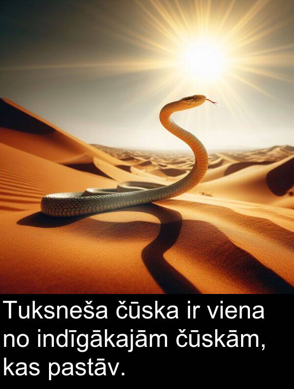 pastāv: Tuksneša čūska ir viena no indīgākajām čūskām, kas pastāv.