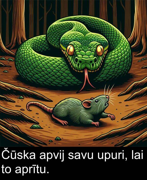 upuri: Čūska apvij savu upuri, lai to aprītu.