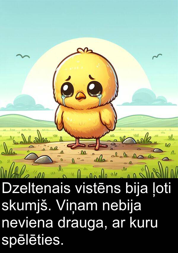 kuru: Dzeltenais vistēns bija ļoti skumjš. Viņam nebija neviena drauga, ar kuru spēlēties.