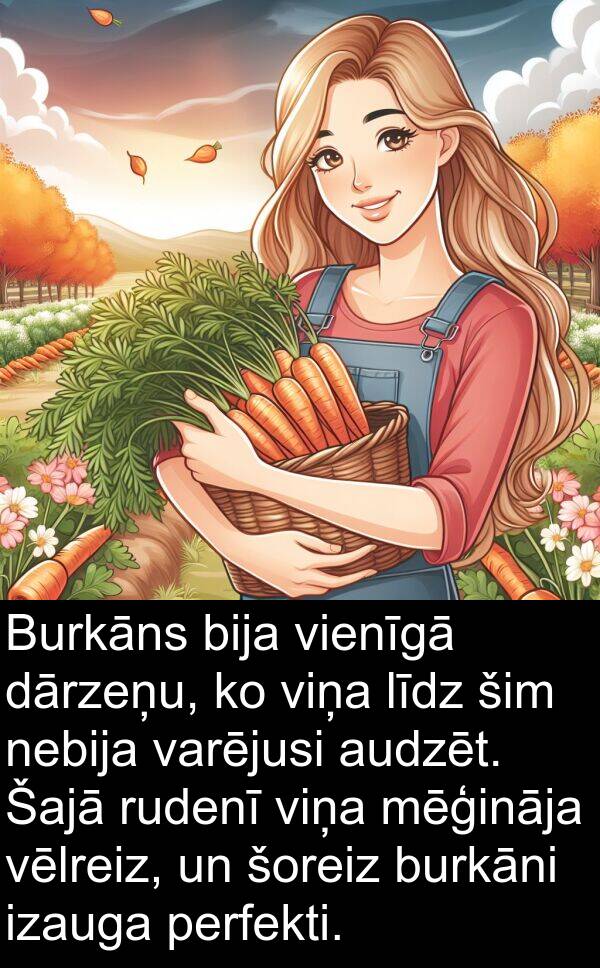 vēlreiz: Burkāns bija vienīgā dārzeņu, ko viņa līdz šim nebija varējusi audzēt. Šajā rudenī viņa mēģināja vēlreiz, un šoreiz burkāni izauga perfekti.